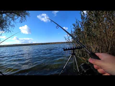 Видео: Осіння риболовля, як вона є. Що ловиться фідером на Дніпровських просторах?...#FishTrip #36