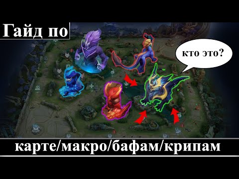 Видео: ОБЗОР КАРТЫ/ЛЕСА/МОНСТРОВ - HONOR OF KINGS/ ГАЙД ПО КАРТЕ #honorofkings  #hok  #хонорофкингс #хок