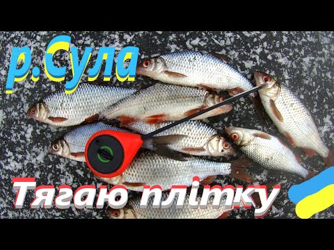 Видео: # Чергова вдала домашня рибалка #РибачуЯкУмію