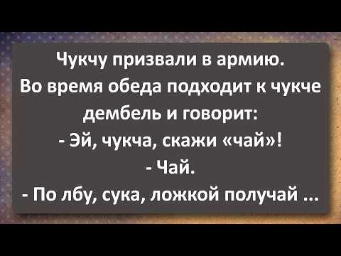 Видео: Дембель Ударил Чукчу Ложкой и Жестоко Поплатился! Сборник Самых Свежих Анекдотов!