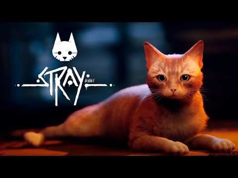 Видео: КОТ ПРОТИВ ЖУТКИХ МОНСТРОВ - БРЕЙН ИГРАЕТ В STRAY #4