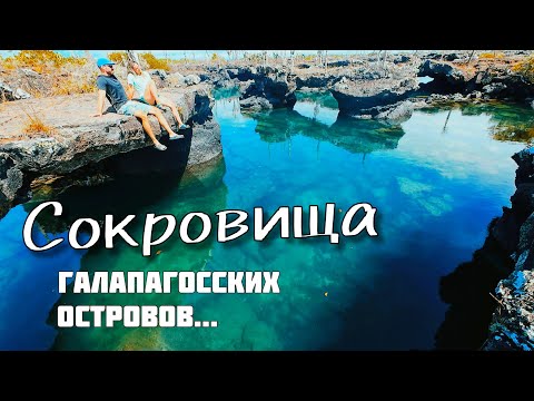 Видео: Галапагосы! Таинственный остров Изабелла.