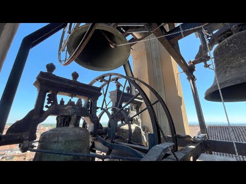 Видео: [4K] Колокола собора в Павии снова зазвучали после 36 лет