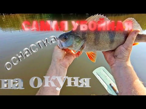 Видео: САМАЯ #УБОЙНАЯ ОСНАСТКА НА ОКУНЯ-"отводной поводок"+ #ДЖИГ РИГ