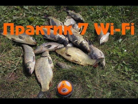 Видео: Поиск рыбы с практик 7 wi fi . Рыбалка на карпа в крестьянском