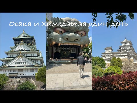 Видео: Из Осаки в Химэдзи: замки, сады и лучший вагю