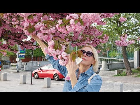 Видео: Добро пожаловать в прекрасный цветущий  Краков!//Ешь,гуляй,смотри...//☀️🌿🥨