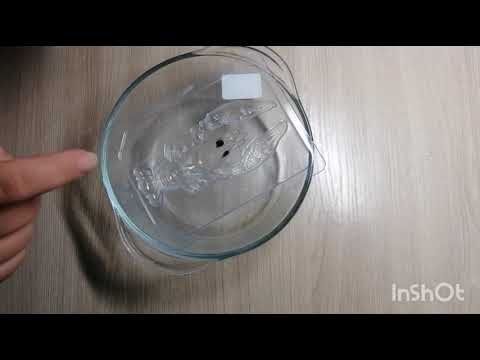 Видео: Мыловарение мыло "Рак"