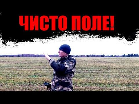 Видео: Бывает и такое.  Поиск монет металлоискателем.