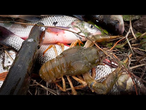 Видео: Коротко о рыбалке в Октябре. Река Куланотпес. Щука, сети.