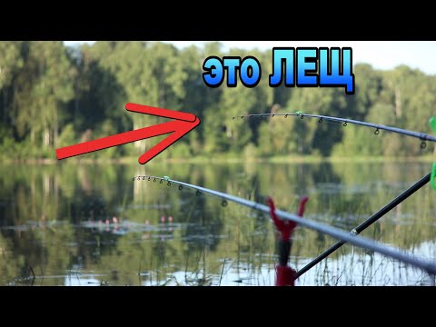 Видео: РЫБАЛКА с НОЧЁВКОЙ охота за ЛЕЩЁМ