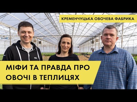 Видео: Що потрібно знати про тепличне вирощування овочів: Кременчуцька овочева фабрика | Куркуль