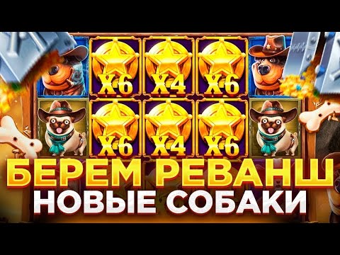 Видео: Я ВСЕ ПРОИГРАЛ ИЛИ НЕТ? КАМБЕК С БОНУСКИ ЗА ***К Р В The Dog House Dog Or Alive ЗАНОСЫ НЕДЕЛИ