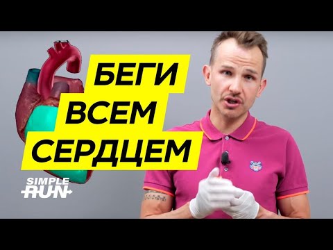 Видео: Что бег делает с сердцем 💗? Спортивное vs обычное ❤️