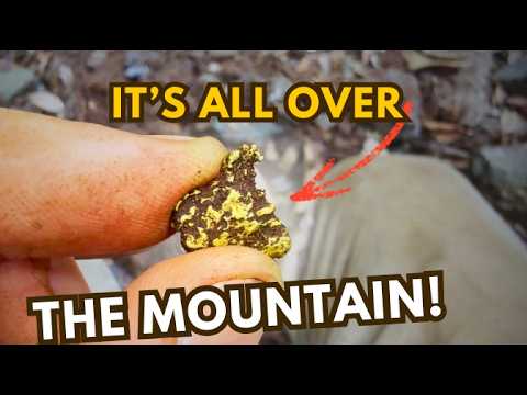 Видео: Это не похоже на реальность. Куда ни глянь, из горы сочится НАСТОЯЩЕЕ ЗОЛОТО!