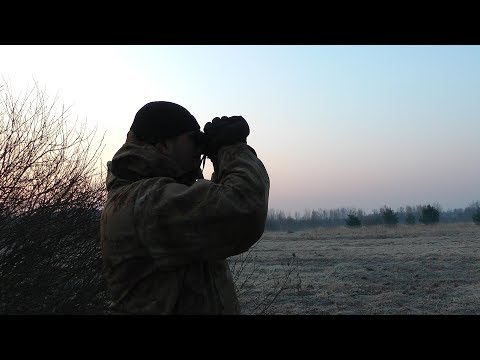 Видео: Охота на тетеревов на току от А до Я | Часть 1 – Поиск тока. Скрадок | Весна 2018