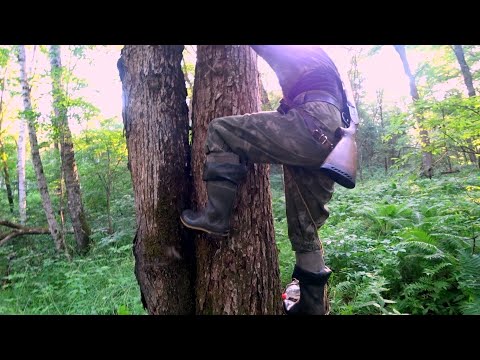 Видео: НУЖНО ЗАКРЫТЬ ЛИЦЕНЗИЮ НА "ПОНТАЧА". ПОЕХАЛИ В ТАЙГУ.