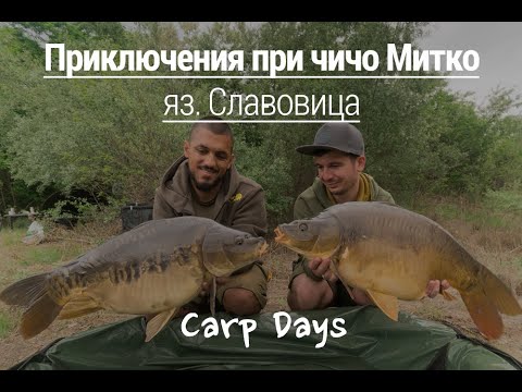 Видео: Разходка с лодка и яко красиви шарани при чичо Митко - яз. Славовица