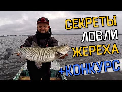 Видео: СЕКРЕТЫ ЛОВЛИ ЖЕРЕХА ОТ ПРОФИ! Ловля жереха осенью на спиннинг +КОНКУРС