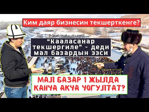 Видео: Мал базар 1 жылда канча акча чогултат? “Кааласанар текшергиле” - деди мал базардын ээси.