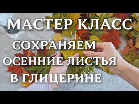 Видео: Мастер класс - Листья в глицерине - Как сохранить осенние листья?