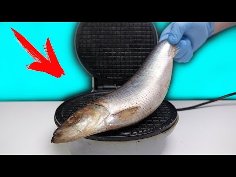 Видео: Гофрета от херинга, тик так и Уили Уонка шоколад | Вкусно или отвратително?