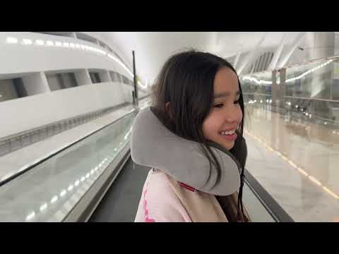 Видео: Как добраться из АбуДаби в Дубаи. Самый честный отзыв на отель Grand Excelsior 4*