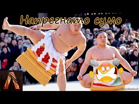 Видео: Епично сумо с ShadowHex и Turbo_saab