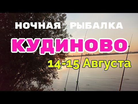 Видео: #Кудиново#Карп#Михалыч Еду на ночную Рыбалку в Кудиново . Забыл все Документы .