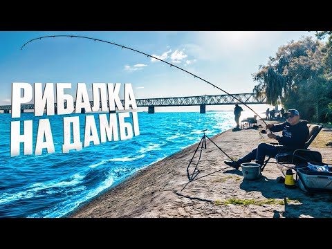 Видео: Ловлю ЛЯЩА на ГОРОХ🫛 ФІДЕР на ДНІПРІ🎣