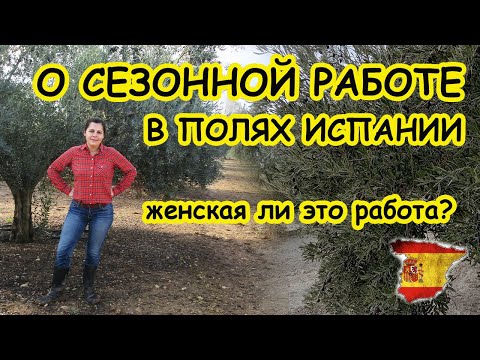 Видео: Сезонная работа на полях в Испании