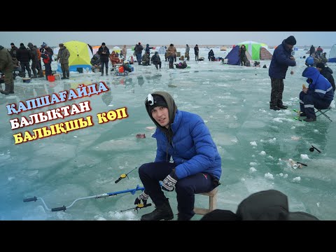 Видео: Қапшағайда балық аулап тамақ пісірдік, балықтан балықшы көп