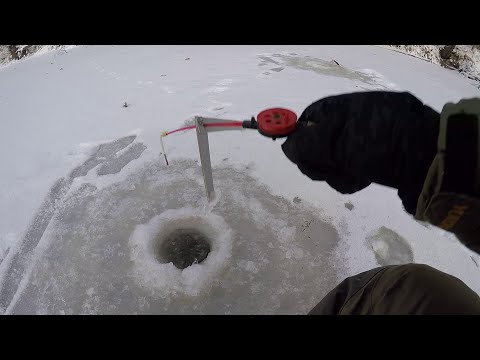 Видео: Язь на мормышку!!! Етыпур встретил отлично в новом сезоне!