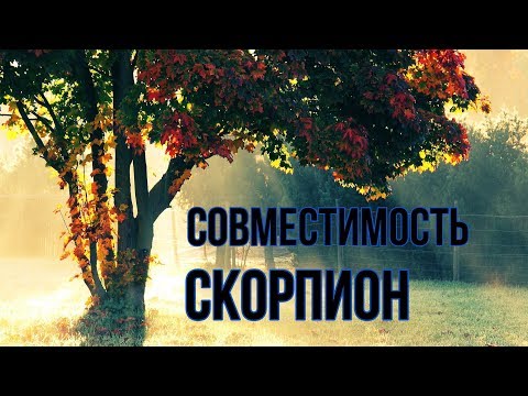 Видео: Совместимость знака Скорпион