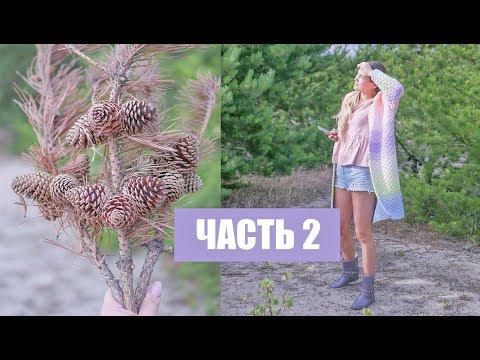 Видео: Favorite materials for creativity / Любимые материалы для творчества  Часть 2 -Tsvoric