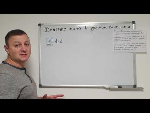 Видео: Математика 6 класс. Деление числа в данном отношении.