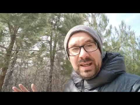 Видео: Как работают системы инфильтрации подземных вод. Записки абиссинщика.