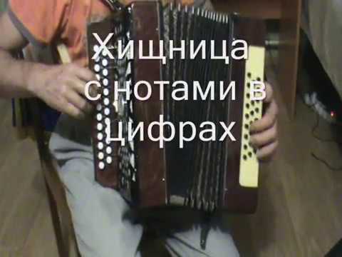 Видео: Хищница с нотами в цифрах