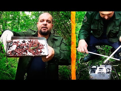 Видео: Добываем червей для рыбалки и выживания, с помощью тока