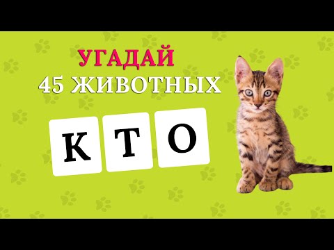 Видео: УГАДАЙ 45 ЖИВОТНЫХ ПО БУКВАМ ЗА 9 СЕКУНД🐗🐻🦓🐸