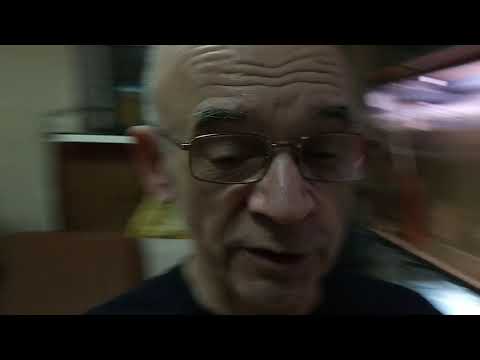 Видео: Горюшкин, разводня, виды и генетика скалярий