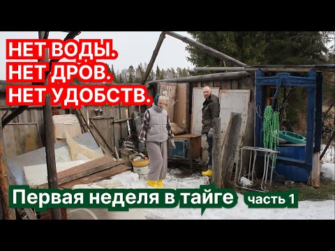 Видео: Переезд в тайгу — Первая неделя выживания: дрова, кролики и жизнь без удобств