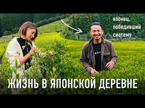 Видео: ЖИЗНЬ В ДЕРЕВНЕ В ЯПОНИИ! Один день на чайной плантации