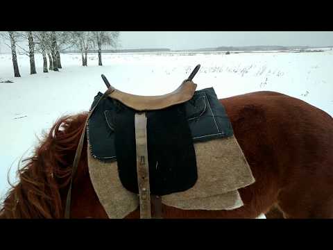 Видео: Катаемся на лошади, или где скрафтить седло в реальной жизни?