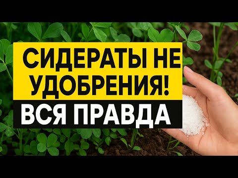 Видео: Сидераты не удобрения! Вся правда о горчице, люпине, горохе, ржи, фацелии, гречихе и редьке
