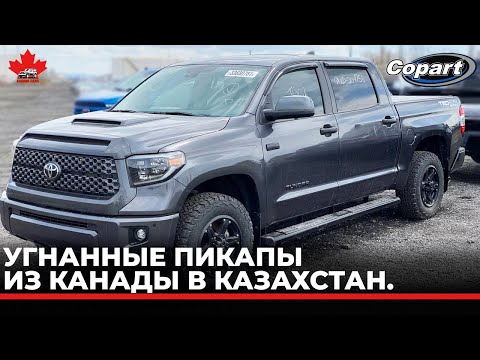 Видео: Угнанные пикапы из Канады в Казахстан.
