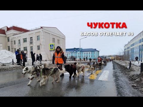 Видео: Чукотка. Басов отвечает #9
