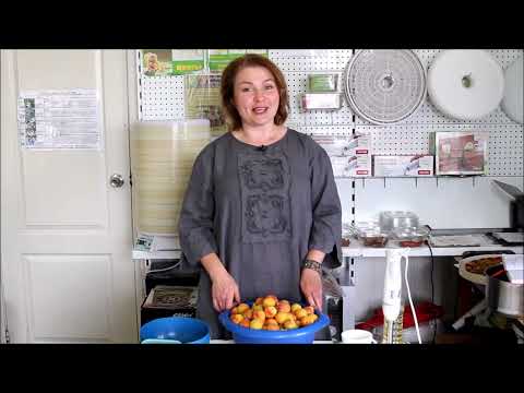 Видео: Абрикосовая пастила