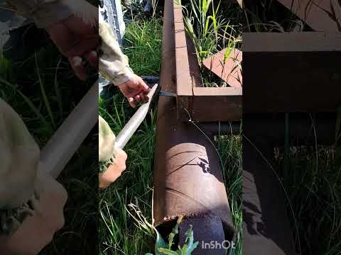 Видео: Подтопляемые участки сенокоса/ Flooded areas of hayfields
