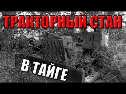 Видео: Тракторный стан в тайге!
